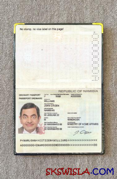 Namibia zdjęcie do paszportu pliki PSD, skan i fotografowany obraz